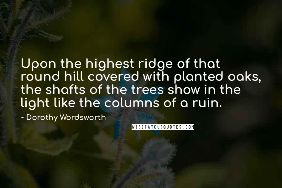 Dorothy Wordsworth Quotes: Upon the highest ridge of that round hill covered with planted oaks, the shafts of the trees show in the light like the columns of a ruin.