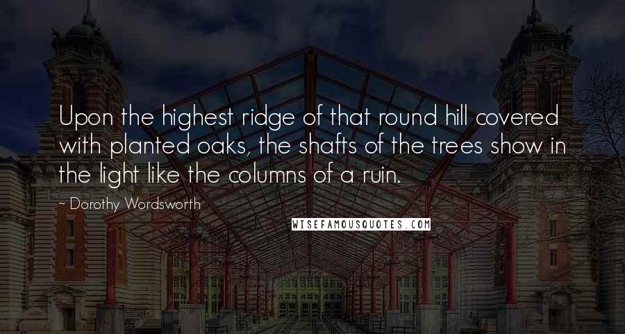 Dorothy Wordsworth Quotes: Upon the highest ridge of that round hill covered with planted oaks, the shafts of the trees show in the light like the columns of a ruin.