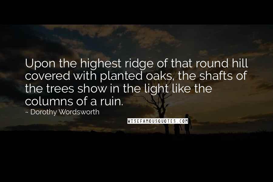 Dorothy Wordsworth Quotes: Upon the highest ridge of that round hill covered with planted oaks, the shafts of the trees show in the light like the columns of a ruin.