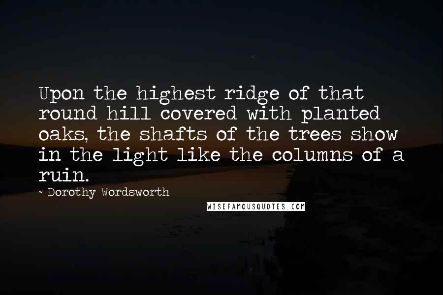 Dorothy Wordsworth Quotes: Upon the highest ridge of that round hill covered with planted oaks, the shafts of the trees show in the light like the columns of a ruin.