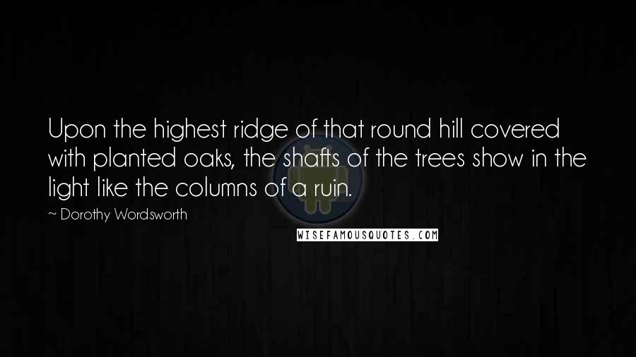 Dorothy Wordsworth Quotes: Upon the highest ridge of that round hill covered with planted oaks, the shafts of the trees show in the light like the columns of a ruin.