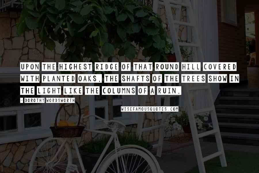 Dorothy Wordsworth Quotes: Upon the highest ridge of that round hill covered with planted oaks, the shafts of the trees show in the light like the columns of a ruin.