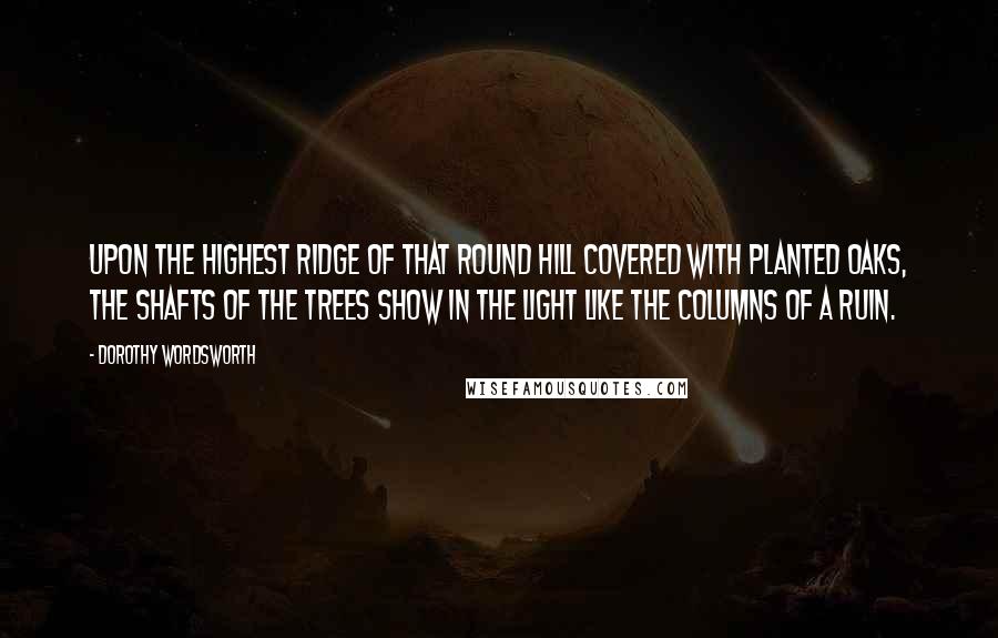 Dorothy Wordsworth Quotes: Upon the highest ridge of that round hill covered with planted oaks, the shafts of the trees show in the light like the columns of a ruin.