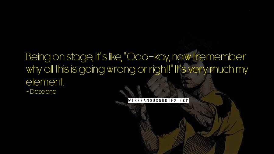 Doseone Quotes: Being on stage, it's like, "Ooo-kay, now I remember why all this is going wrong or right!" It's very much my element.