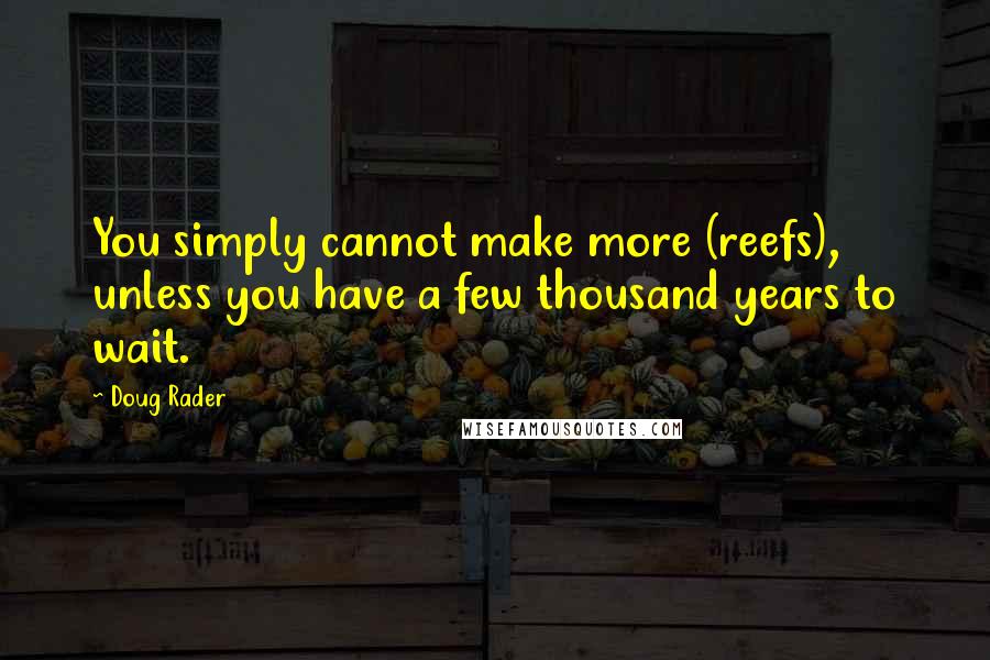 Doug Rader Quotes: You simply cannot make more (reefs), unless you have a few thousand years to wait.