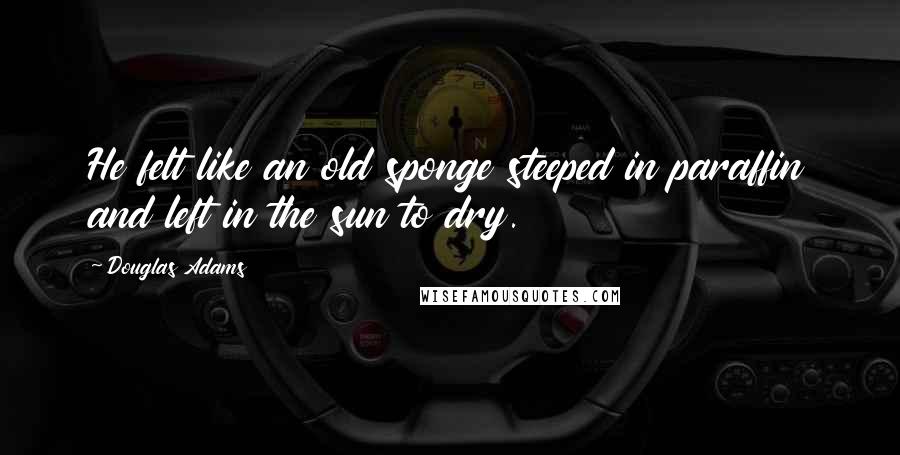 Douglas Adams Quotes: He felt like an old sponge steeped in paraffin and left in the sun to dry.