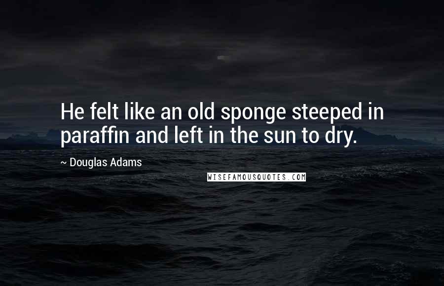 Douglas Adams Quotes: He felt like an old sponge steeped in paraffin and left in the sun to dry.