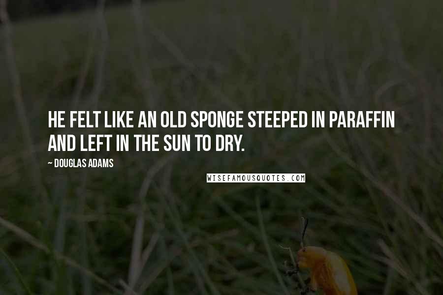 Douglas Adams Quotes: He felt like an old sponge steeped in paraffin and left in the sun to dry.