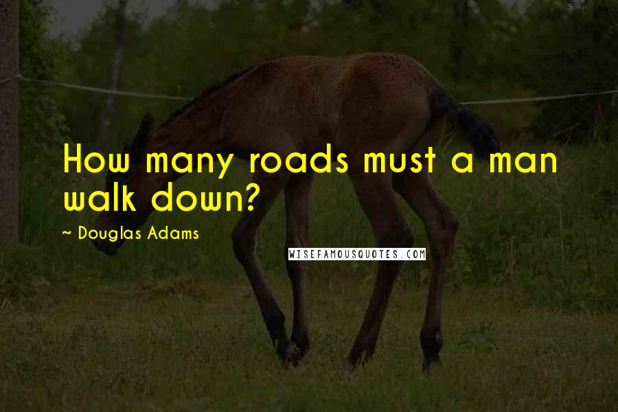 Douglas Adams Quotes: How many roads must a man walk down?