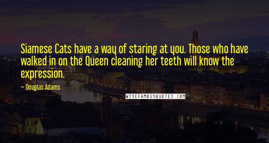 Douglas Adams Quotes: Siamese Cats have a way of staring at you. Those who have walked in on the Queen cleaning her teeth will know the expression.