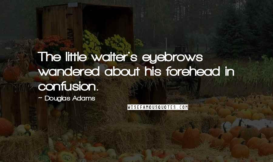 Douglas Adams Quotes: The little waiter's eyebrows wandered about his forehead in confusion.