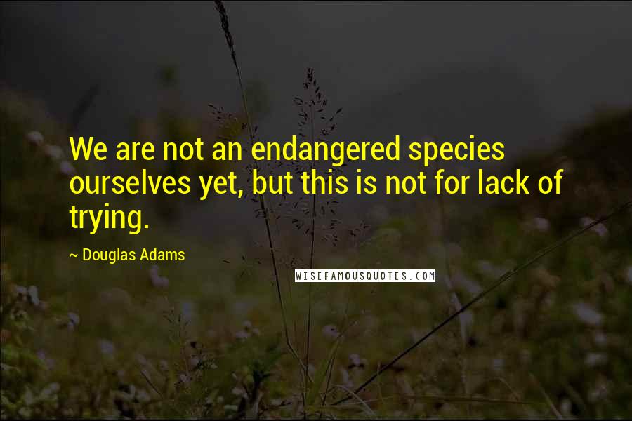 Douglas Adams Quotes: We are not an endangered species ourselves yet, but this is not for lack of trying.