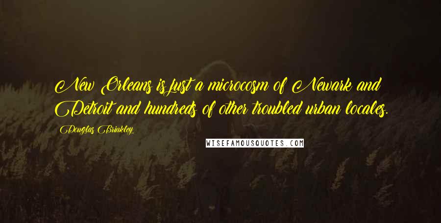 Douglas Brinkley Quotes: New Orleans is just a microcosm of Newark and Detroit and hundreds of other troubled urban locales.