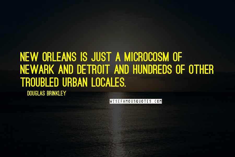 Douglas Brinkley Quotes: New Orleans is just a microcosm of Newark and Detroit and hundreds of other troubled urban locales.