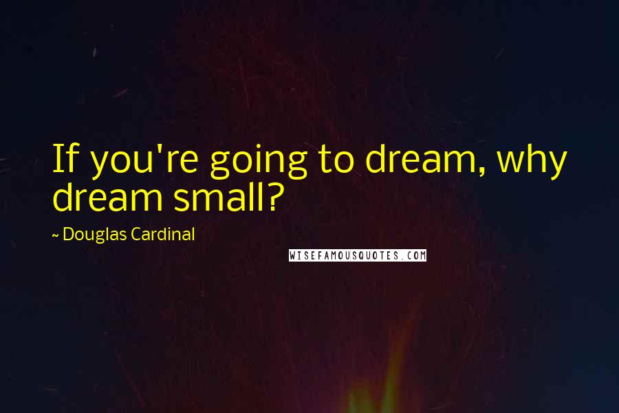 Douglas Cardinal Quotes: If you're going to dream, why dream small?