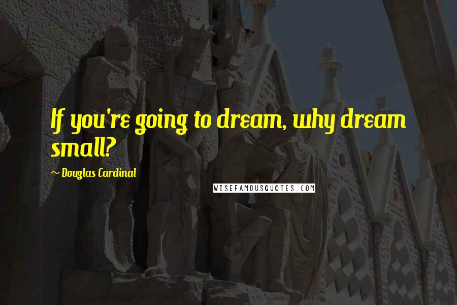 Douglas Cardinal Quotes: If you're going to dream, why dream small?