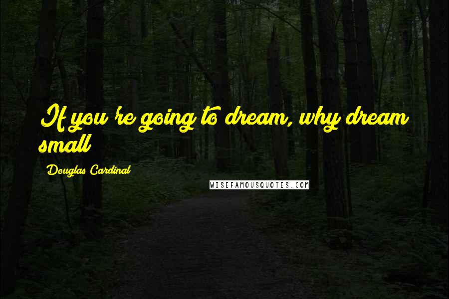 Douglas Cardinal Quotes: If you're going to dream, why dream small?