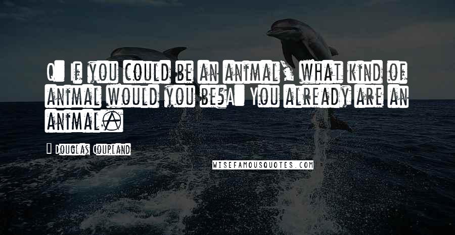 Douglas Coupland Quotes: Q: If you could be an animal, what kind of animal would you be?A: You already are an animal.