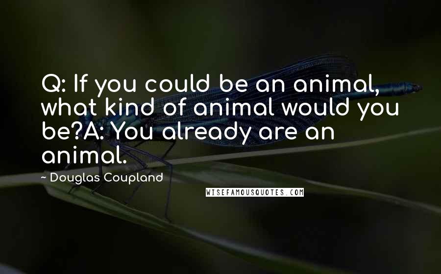 Douglas Coupland Quotes: Q: If you could be an animal, what kind of animal would you be?A: You already are an animal.