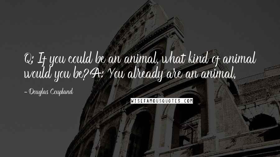 Douglas Coupland Quotes: Q: If you could be an animal, what kind of animal would you be?A: You already are an animal.