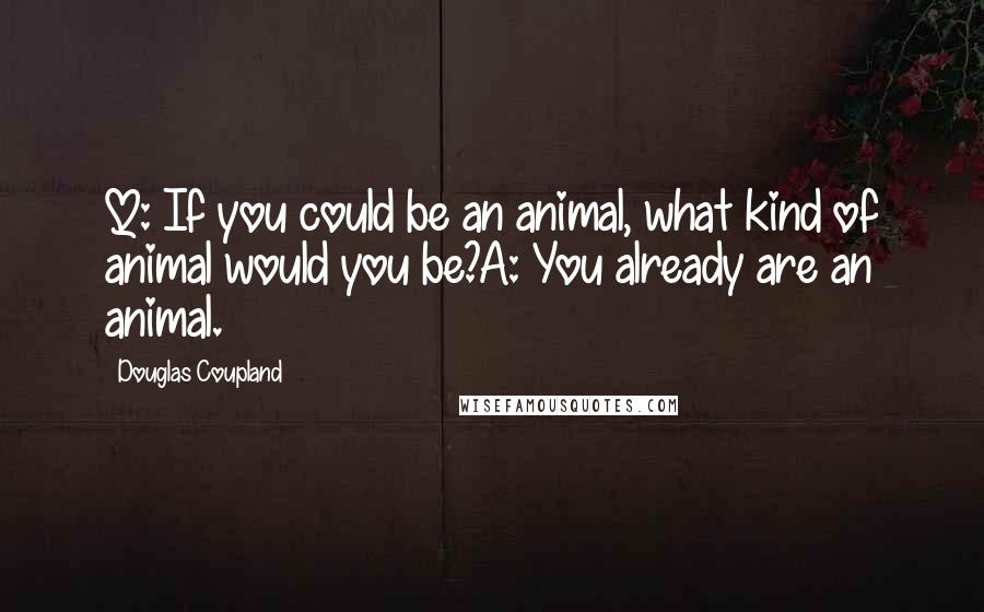 Douglas Coupland Quotes: Q: If you could be an animal, what kind of animal would you be?A: You already are an animal.