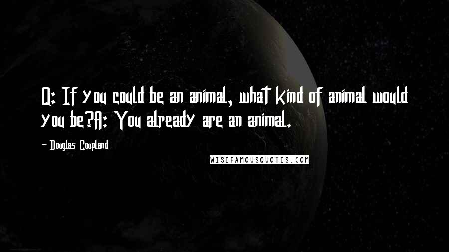 Douglas Coupland Quotes: Q: If you could be an animal, what kind of animal would you be?A: You already are an animal.