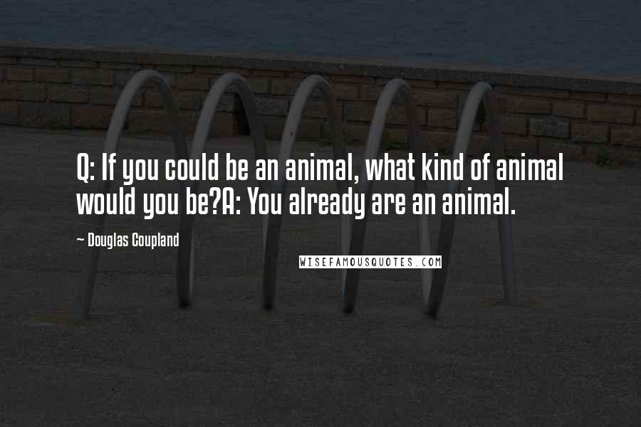 Douglas Coupland Quotes: Q: If you could be an animal, what kind of animal would you be?A: You already are an animal.