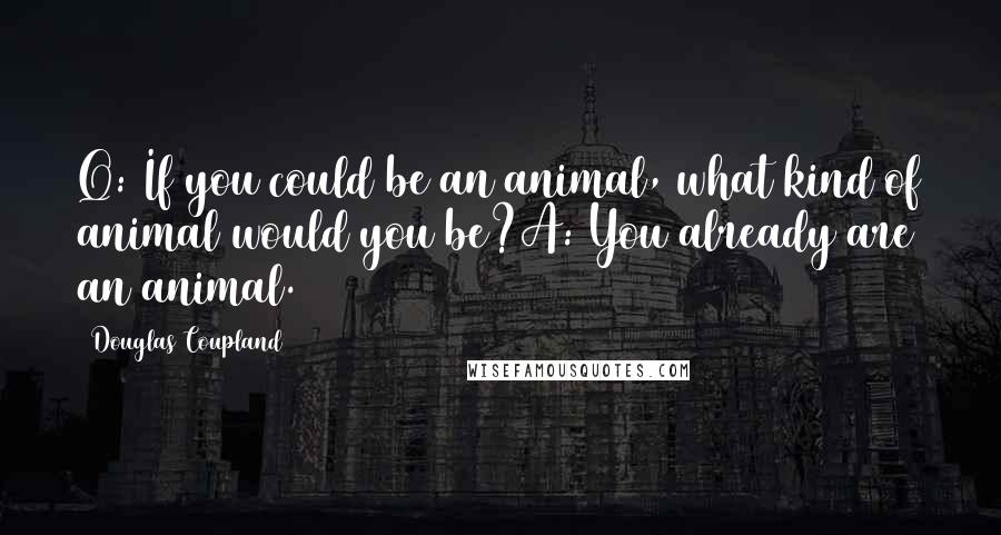 Douglas Coupland Quotes: Q: If you could be an animal, what kind of animal would you be?A: You already are an animal.