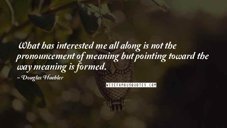 Douglas Huebler Quotes: What has interested me all along is not the pronouncement of meaning but pointing toward the way meaning is formed.