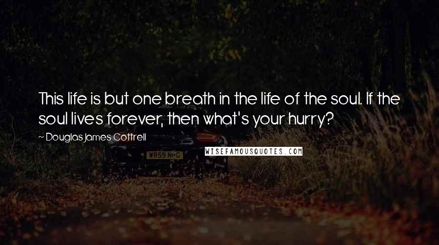 Douglas James Cottrell Quotes: This life is but one breath in the life of the soul. If the soul lives forever, then what's your hurry?