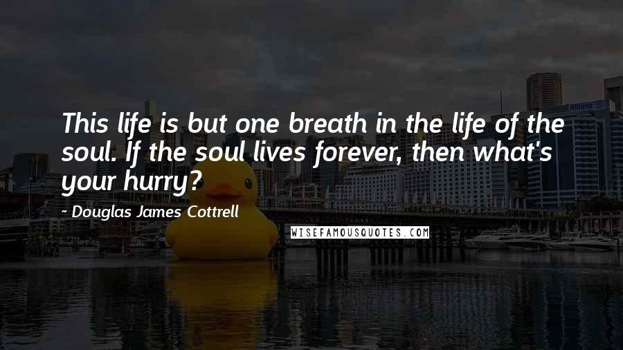 Douglas James Cottrell Quotes: This life is but one breath in the life of the soul. If the soul lives forever, then what's your hurry?