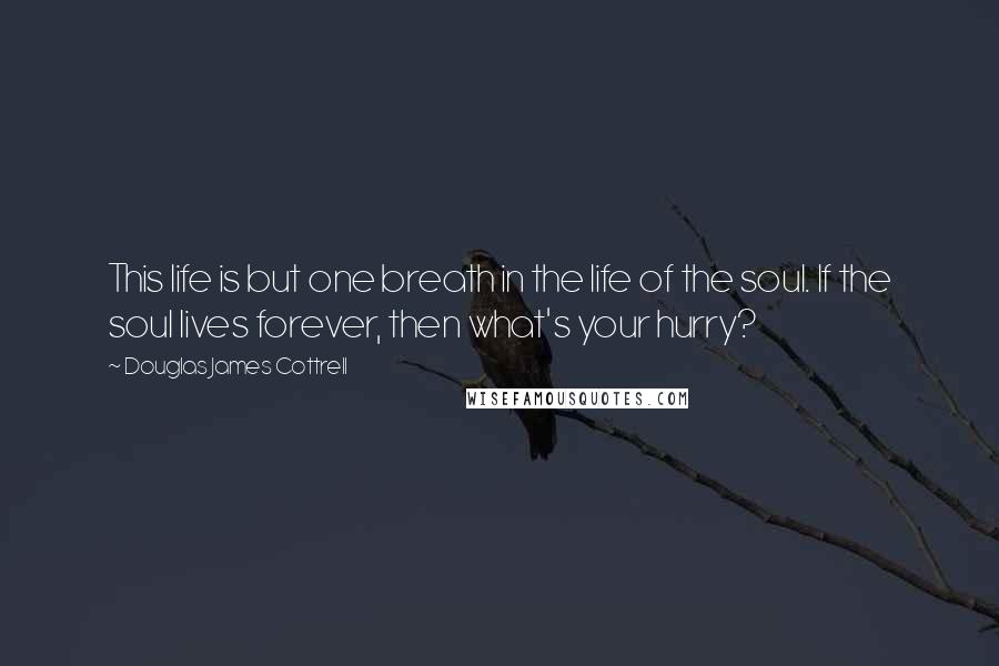 Douglas James Cottrell Quotes: This life is but one breath in the life of the soul. If the soul lives forever, then what's your hurry?