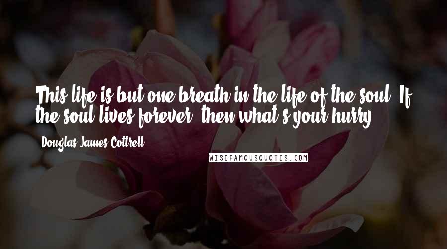 Douglas James Cottrell Quotes: This life is but one breath in the life of the soul. If the soul lives forever, then what's your hurry?