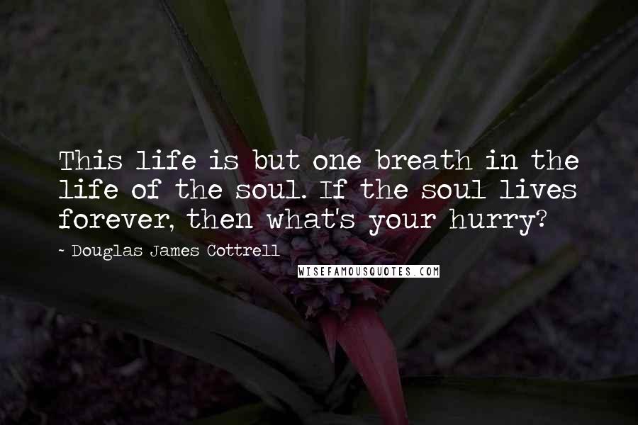 Douglas James Cottrell Quotes: This life is but one breath in the life of the soul. If the soul lives forever, then what's your hurry?