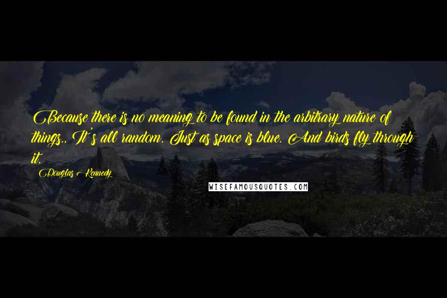 Douglas Kennedy Quotes: Because there is no meaning to be found in the arbitrary nature of things., It's all random. Just as space is blue. And birds fly through it.