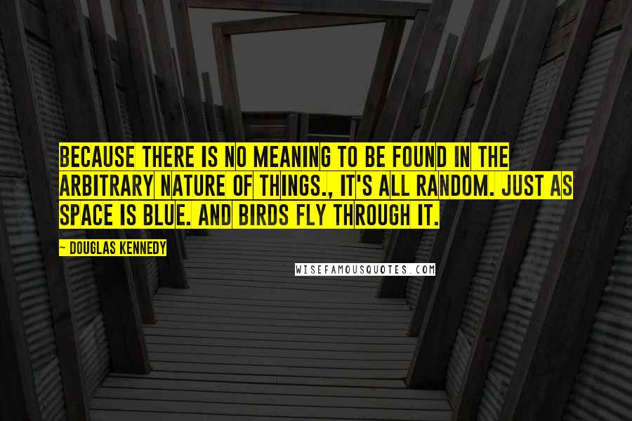 Douglas Kennedy Quotes: Because there is no meaning to be found in the arbitrary nature of things., It's all random. Just as space is blue. And birds fly through it.