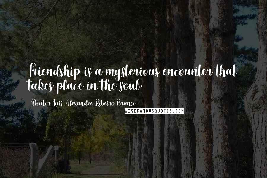 Doutor Luis Alexandre Ribeiro Branco Quotes: Friendship is a mysterious encounter that takes place in the soul.