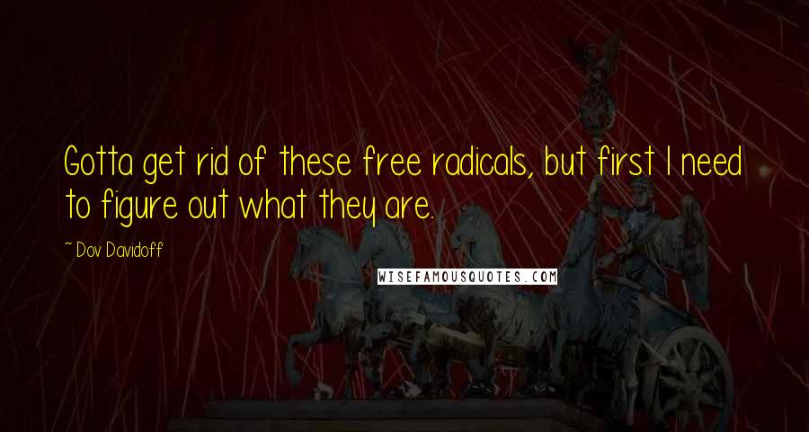 Dov Davidoff Quotes: Gotta get rid of these free radicals, but first I need to figure out what they are.