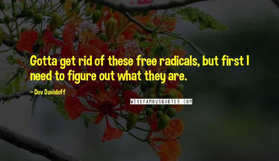 Dov Davidoff Quotes: Gotta get rid of these free radicals, but first I need to figure out what they are.