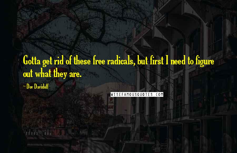 Dov Davidoff Quotes: Gotta get rid of these free radicals, but first I need to figure out what they are.