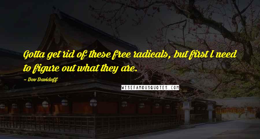 Dov Davidoff Quotes: Gotta get rid of these free radicals, but first I need to figure out what they are.