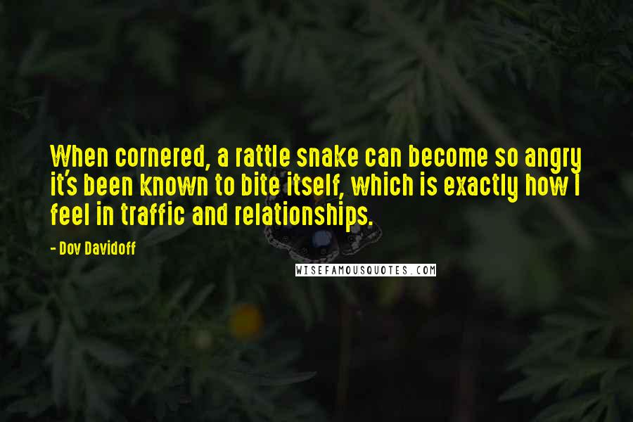 Dov Davidoff Quotes: When cornered, a rattle snake can become so angry it's been known to bite itself, which is exactly how I feel in traffic and relationships.