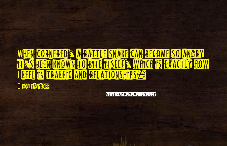 Dov Davidoff Quotes: When cornered, a rattle snake can become so angry it's been known to bite itself, which is exactly how I feel in traffic and relationships.