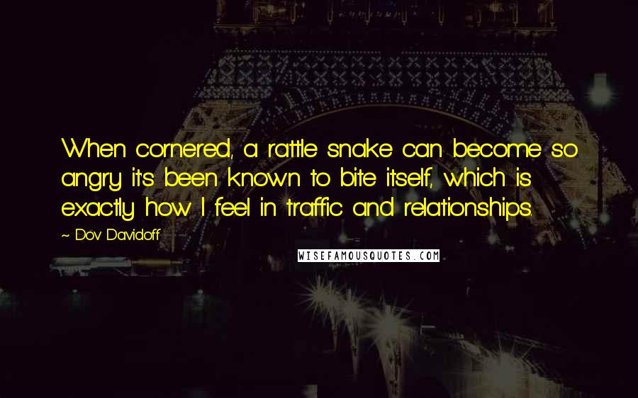 Dov Davidoff Quotes: When cornered, a rattle snake can become so angry it's been known to bite itself, which is exactly how I feel in traffic and relationships.