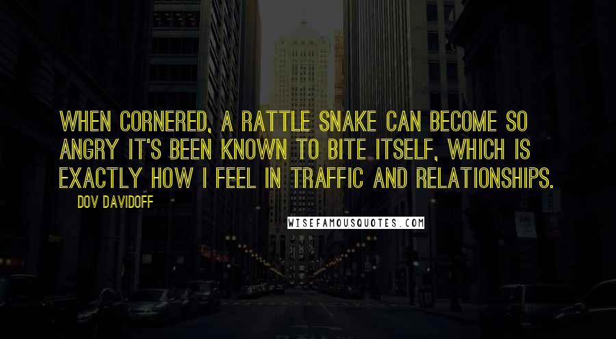 Dov Davidoff Quotes: When cornered, a rattle snake can become so angry it's been known to bite itself, which is exactly how I feel in traffic and relationships.