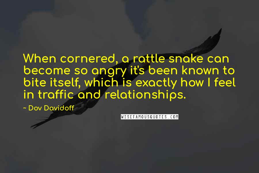 Dov Davidoff Quotes: When cornered, a rattle snake can become so angry it's been known to bite itself, which is exactly how I feel in traffic and relationships.