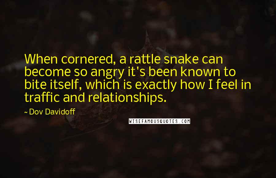 Dov Davidoff Quotes: When cornered, a rattle snake can become so angry it's been known to bite itself, which is exactly how I feel in traffic and relationships.