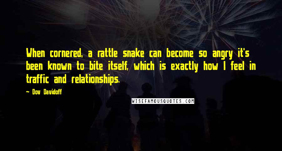 Dov Davidoff Quotes: When cornered, a rattle snake can become so angry it's been known to bite itself, which is exactly how I feel in traffic and relationships.