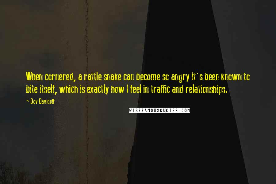 Dov Davidoff Quotes: When cornered, a rattle snake can become so angry it's been known to bite itself, which is exactly how I feel in traffic and relationships.