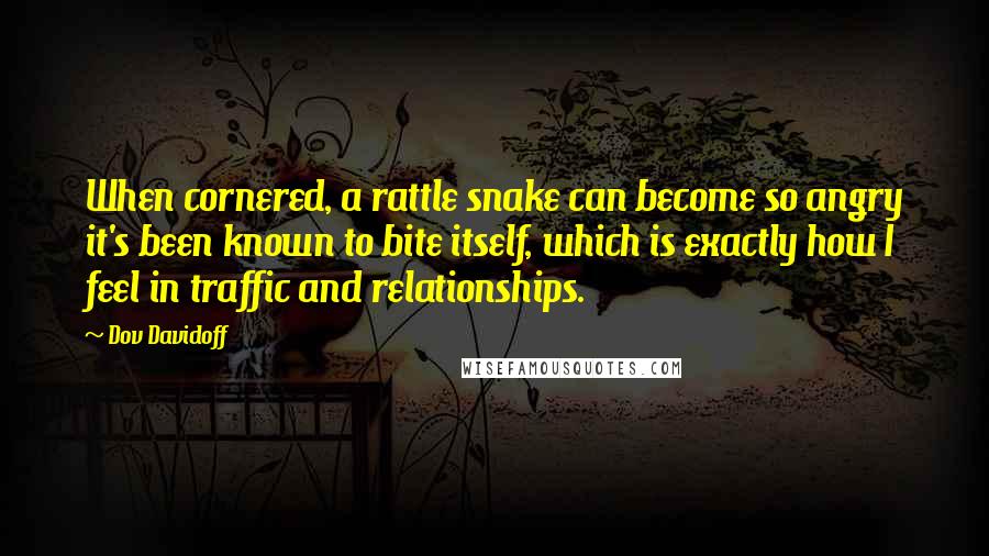 Dov Davidoff Quotes: When cornered, a rattle snake can become so angry it's been known to bite itself, which is exactly how I feel in traffic and relationships.